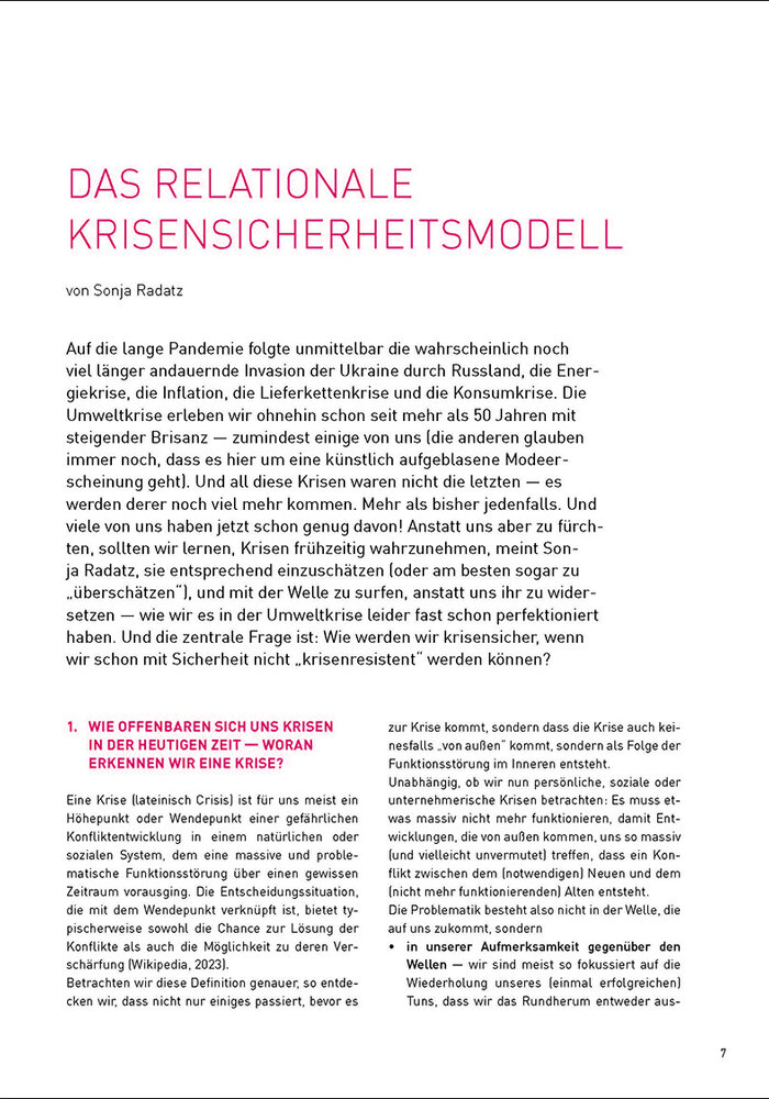 Das Relationale Krisensicherheitsmodell