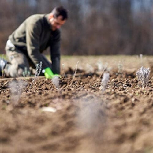 Ein Plädoyer für kluge Fragen