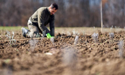 Ein Plädoyer für kluge Fragen