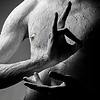 GESUNDHEITSGESTALTUNG STARTER