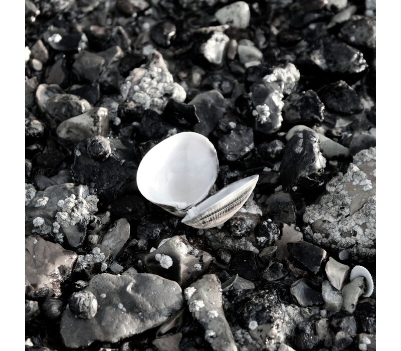 LEBENSNEUGESTALTUNG - STARTER