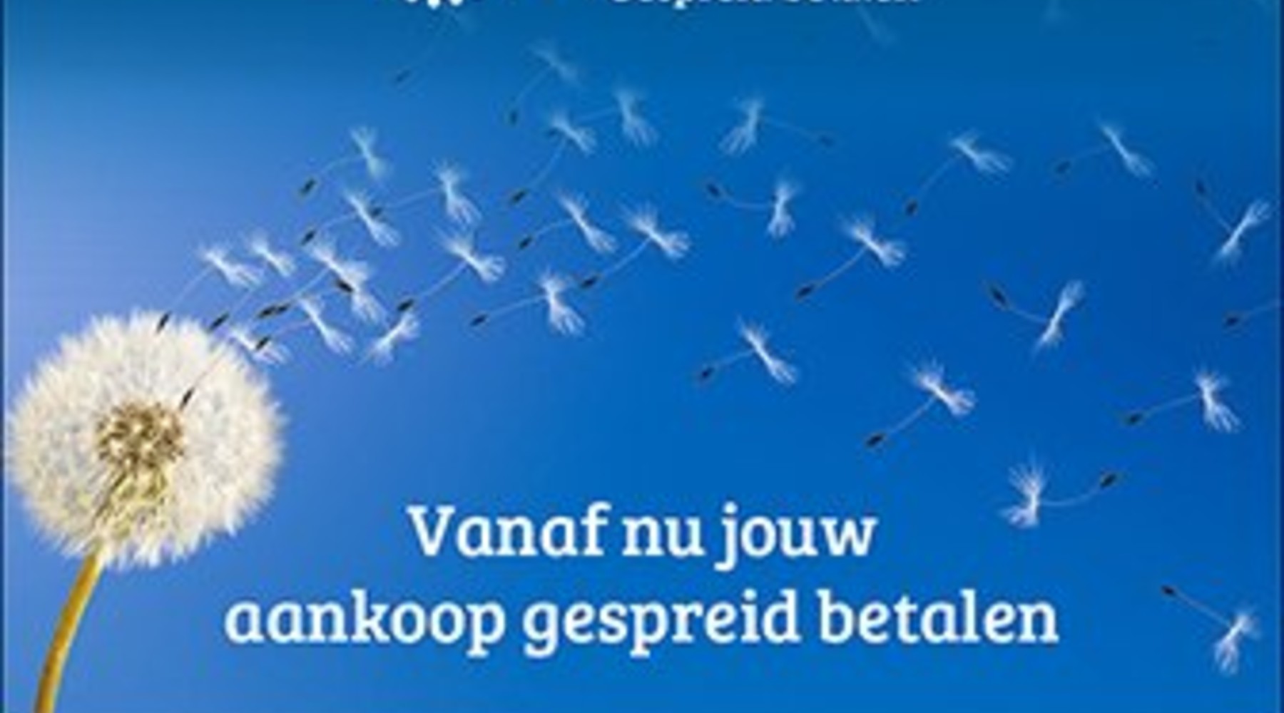Nieuw: Gespreid betalen met SprayPay