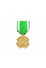 Civil medal fire department first class