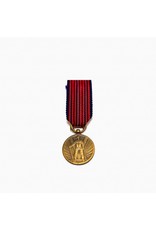 Medal for Volunteer of War