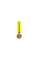 Médaille Commémorative Missions ou Opérations Intérieures