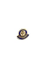 Pin's Rotary Past President