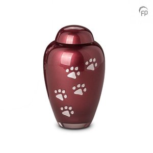 Memory Crystal GUP 024 L Urna de mascota de cristal grande