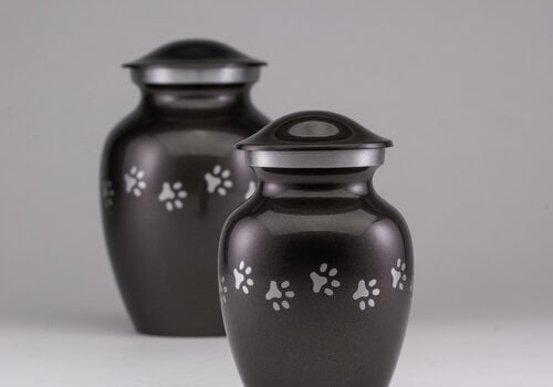 PET URNS