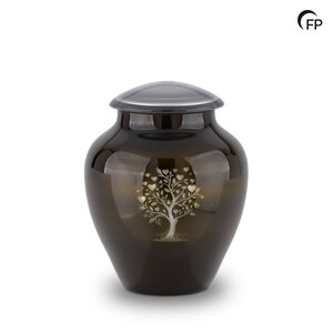 Memory Crystal GU 085 Urna de cristal