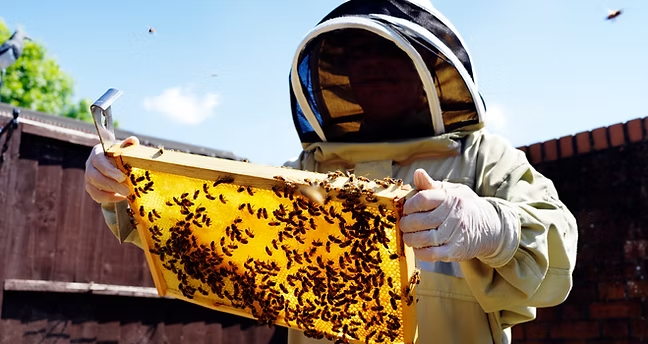 Park Farm Cottage Bee Products