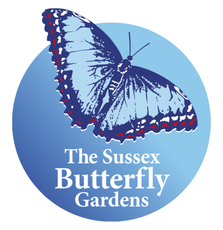 Sussex Butterfly Gardens