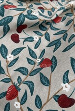 Canvas - Aardbei Canvas - Aardbei