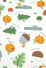 Katia Fabrics Tricot - Autumn Friends