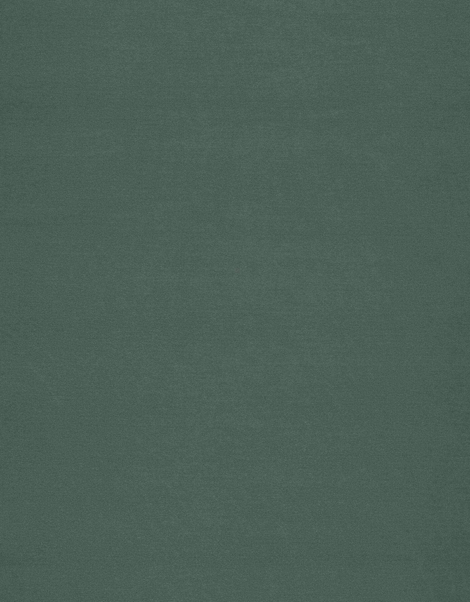 Punta Di Roma - Dusty green