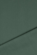 Punta Di Roma - Dusty green