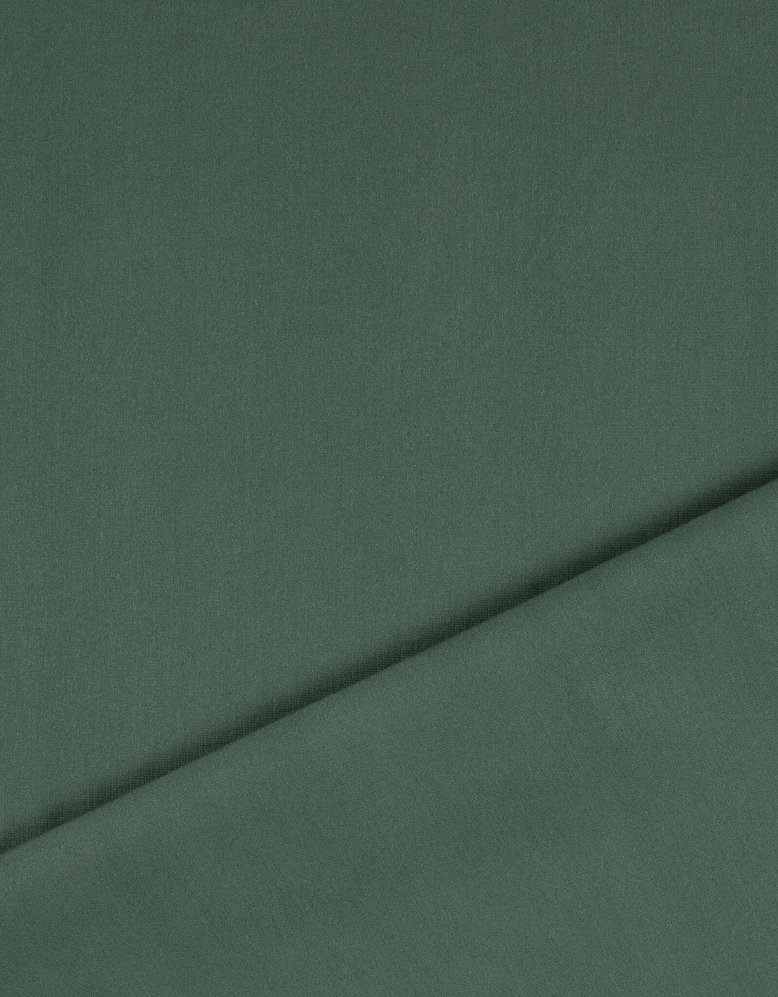Punta Di Roma - Dusty green