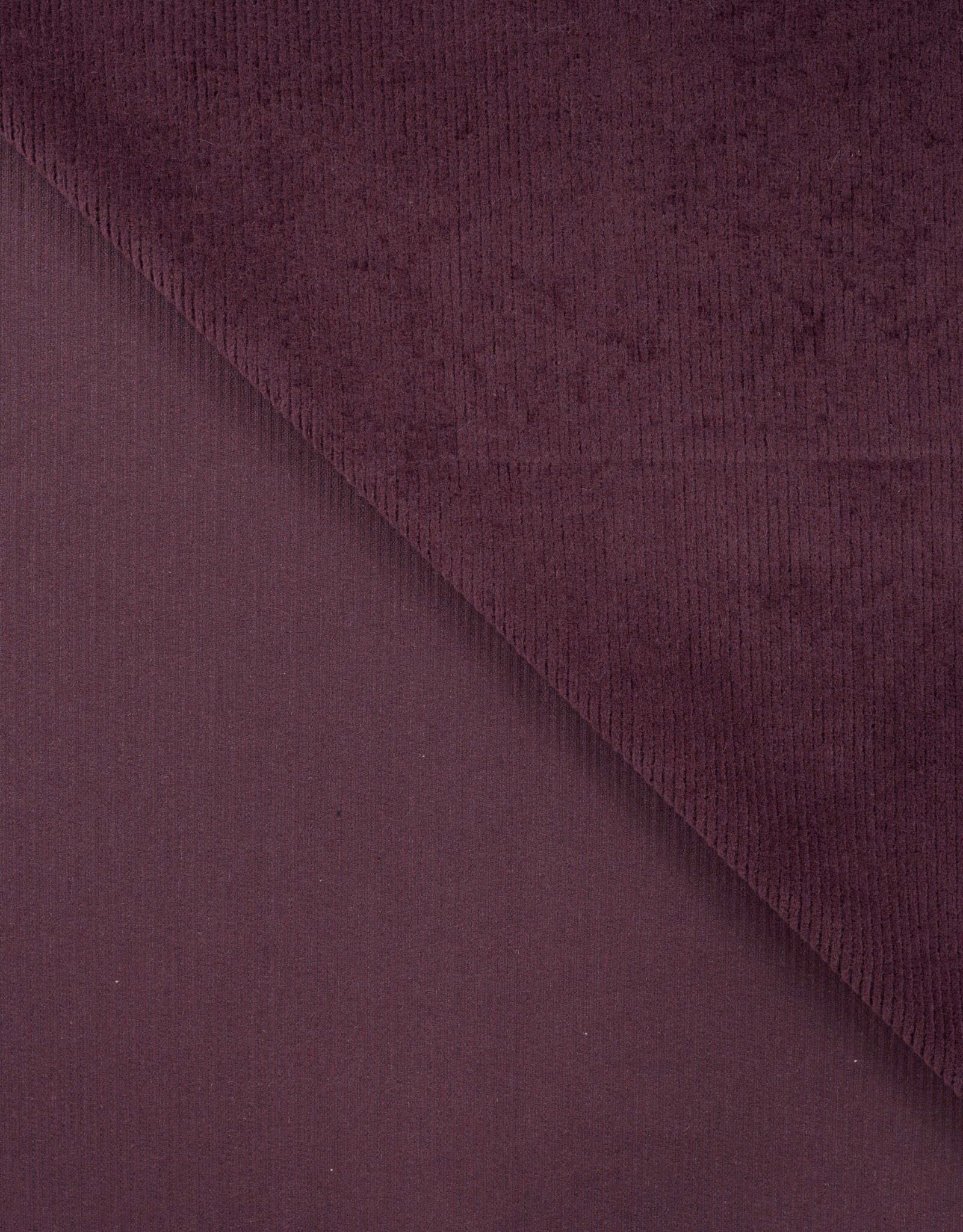 Corduroy - Bordeaux