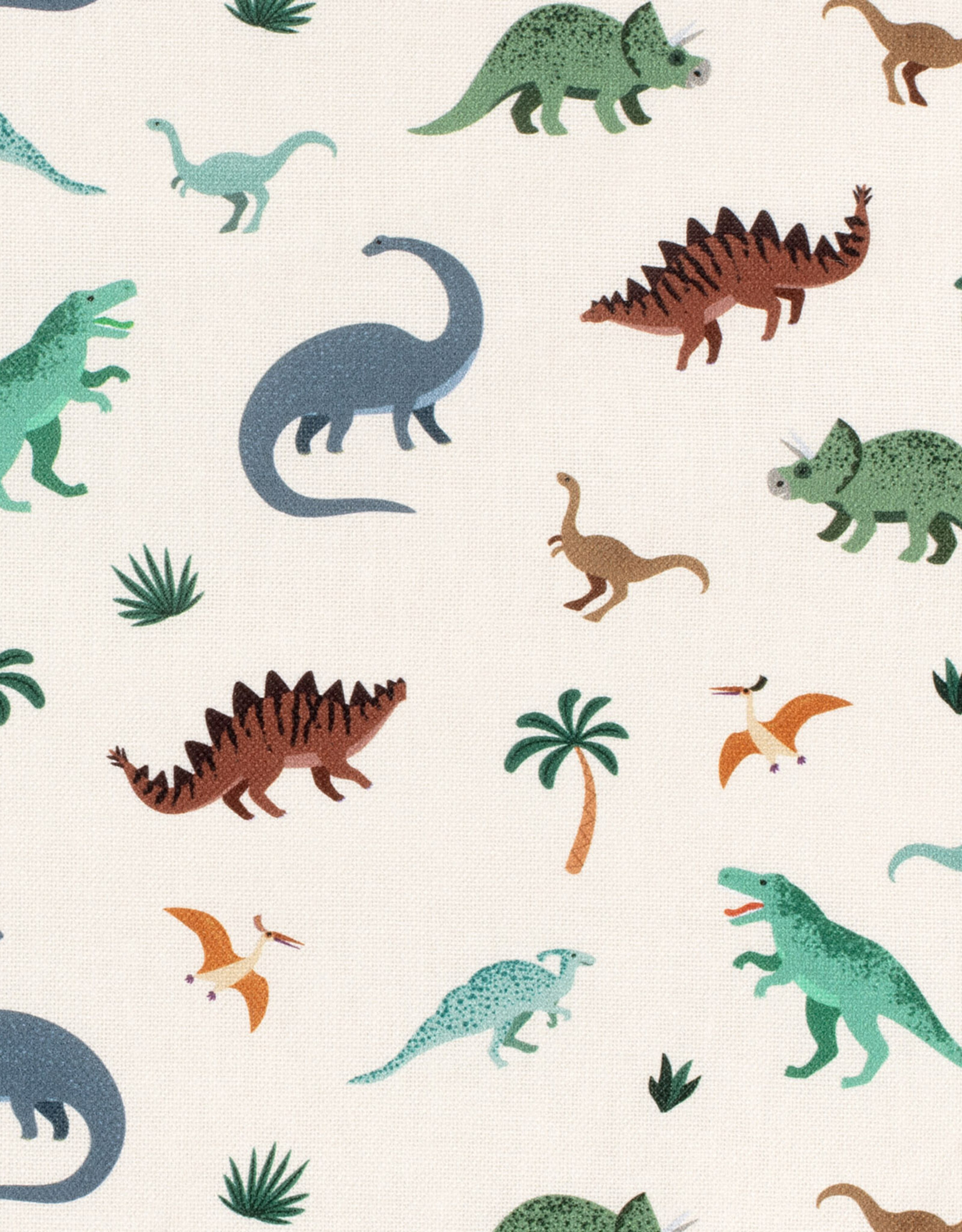 Canvas - Little Dino's