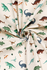 Canvas - Little Dino's