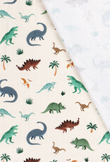 Canvas - Little Dino's