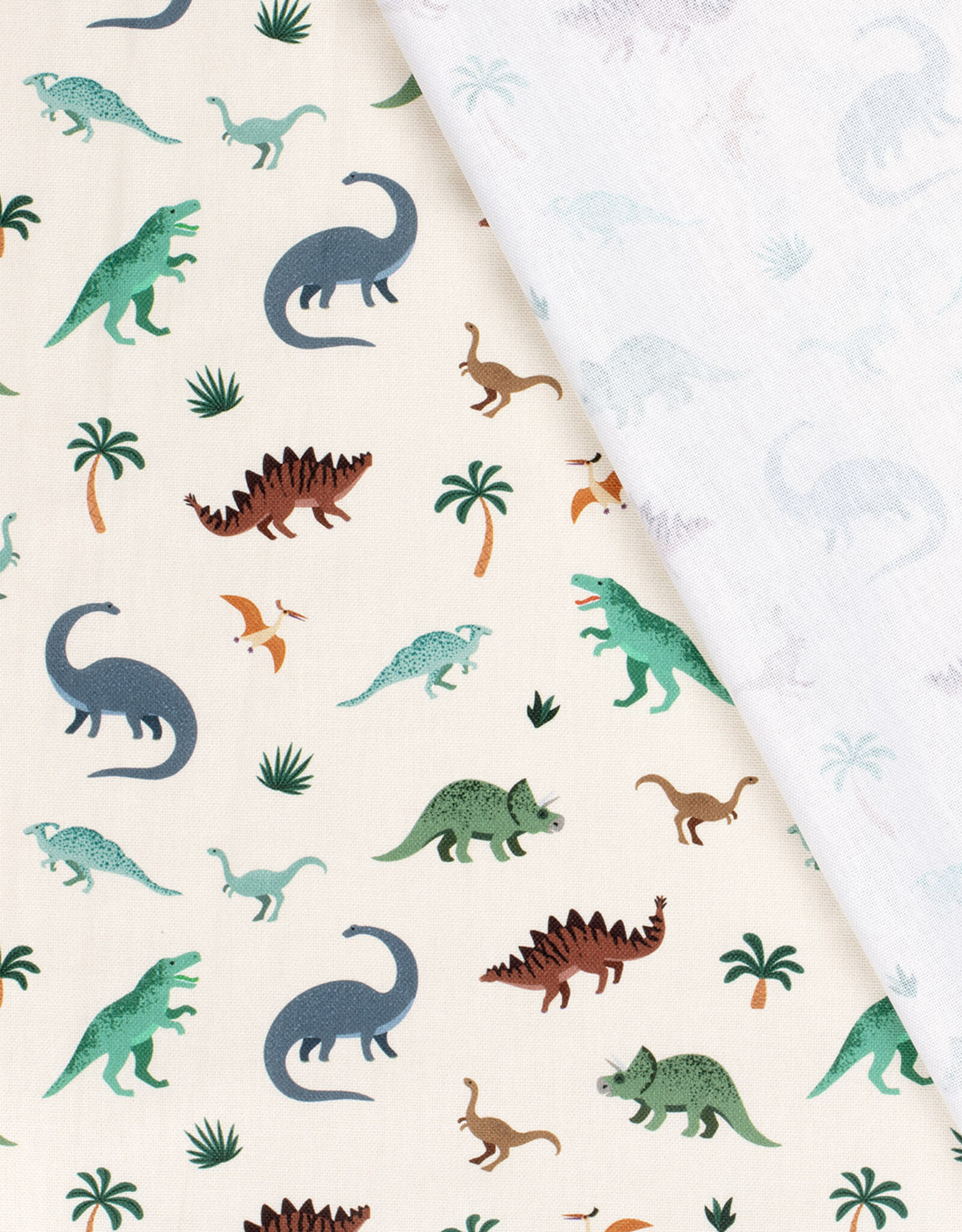 Canvas - Little Dino's