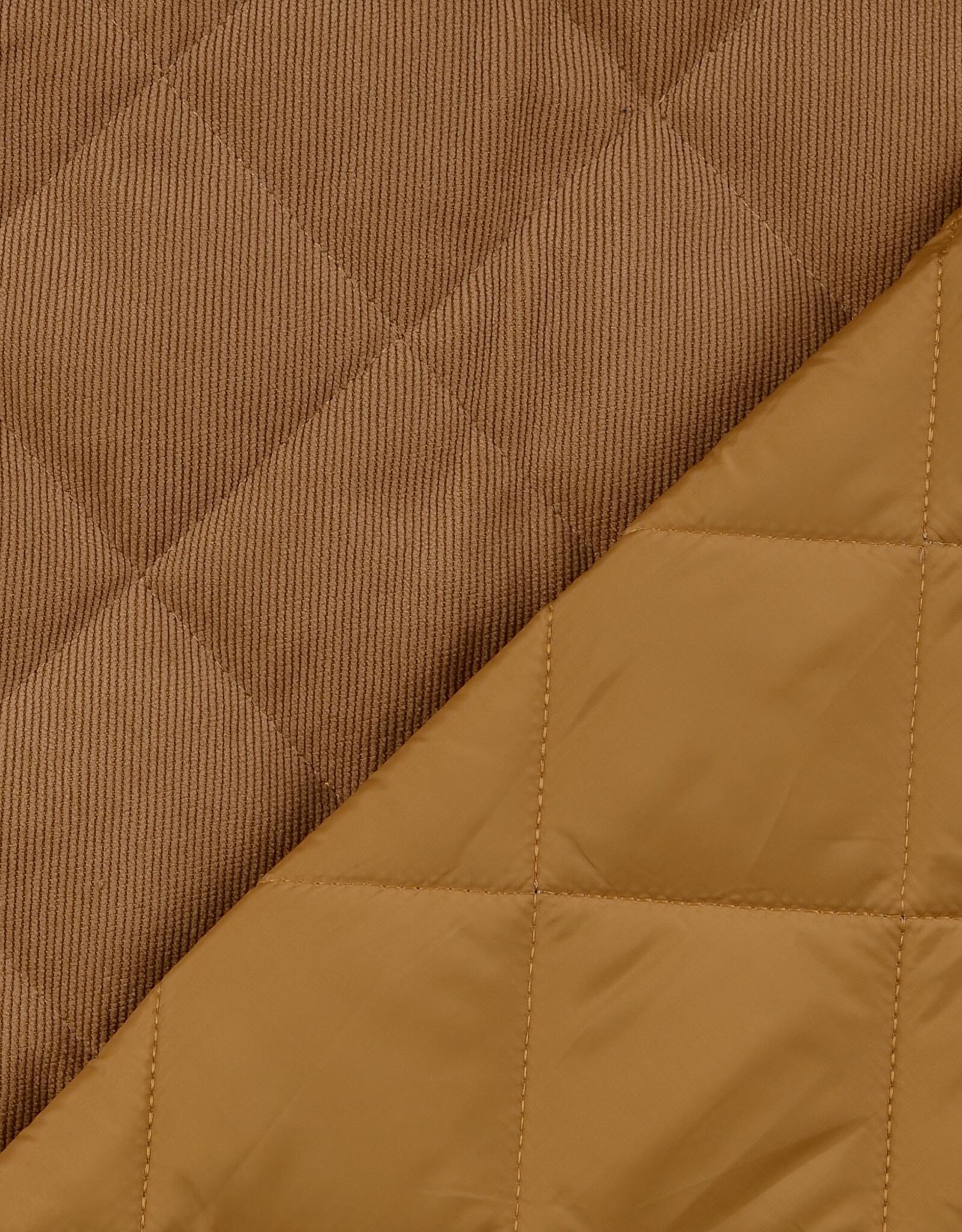 Stepper Corduroy - Camel