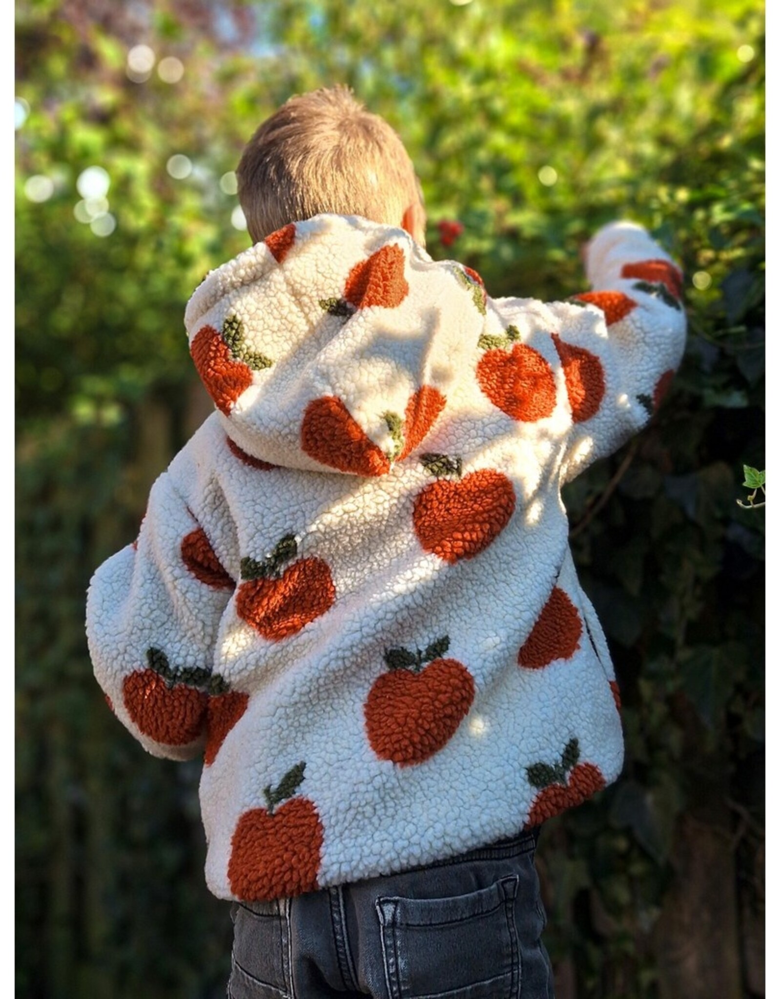 Teddy - Sherpa - Appels