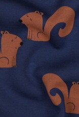 Zachte Jogging - Eekhoorntjes Zachte Jogging - Eekhoorntjes