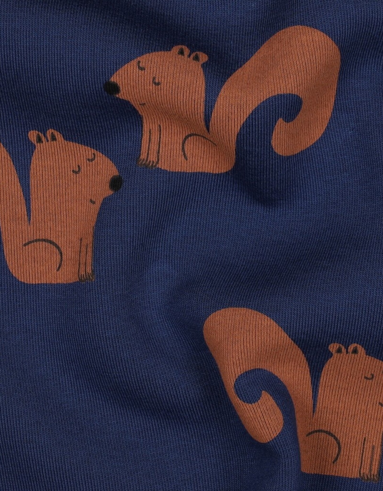 Zachte Jogging - Eekhoorntjes