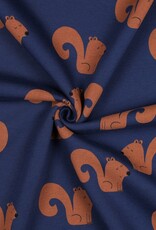 Zachte Jogging - Eekhoorntjes Zachte Jogging - Eekhoorntjes