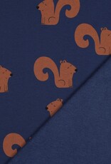 Zachte Jogging - Eekhoorntjes Zachte Jogging - Eekhoorntjes