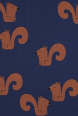 Zachte Jogging - Eekhoorntjes Zachte Jogging - Eekhoorntjes