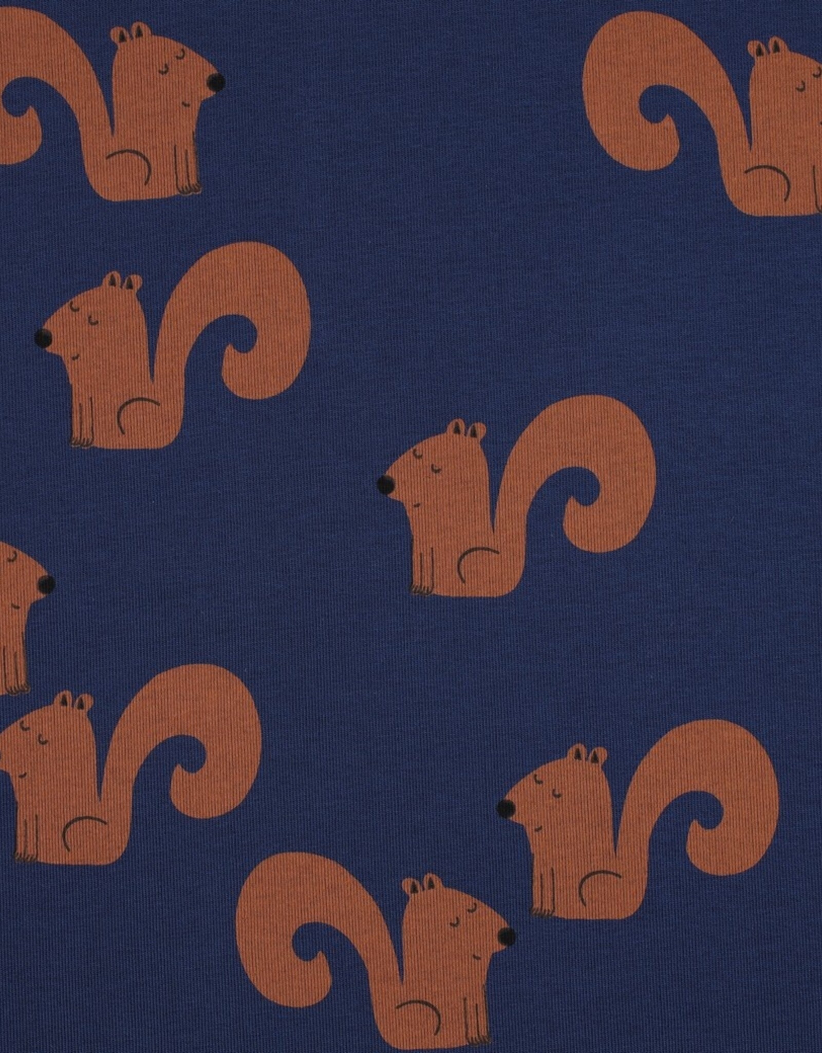 Zachte Jogging - Eekhoorntjes