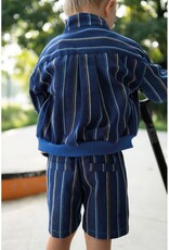 Jeans - Striped - Blue & Brown