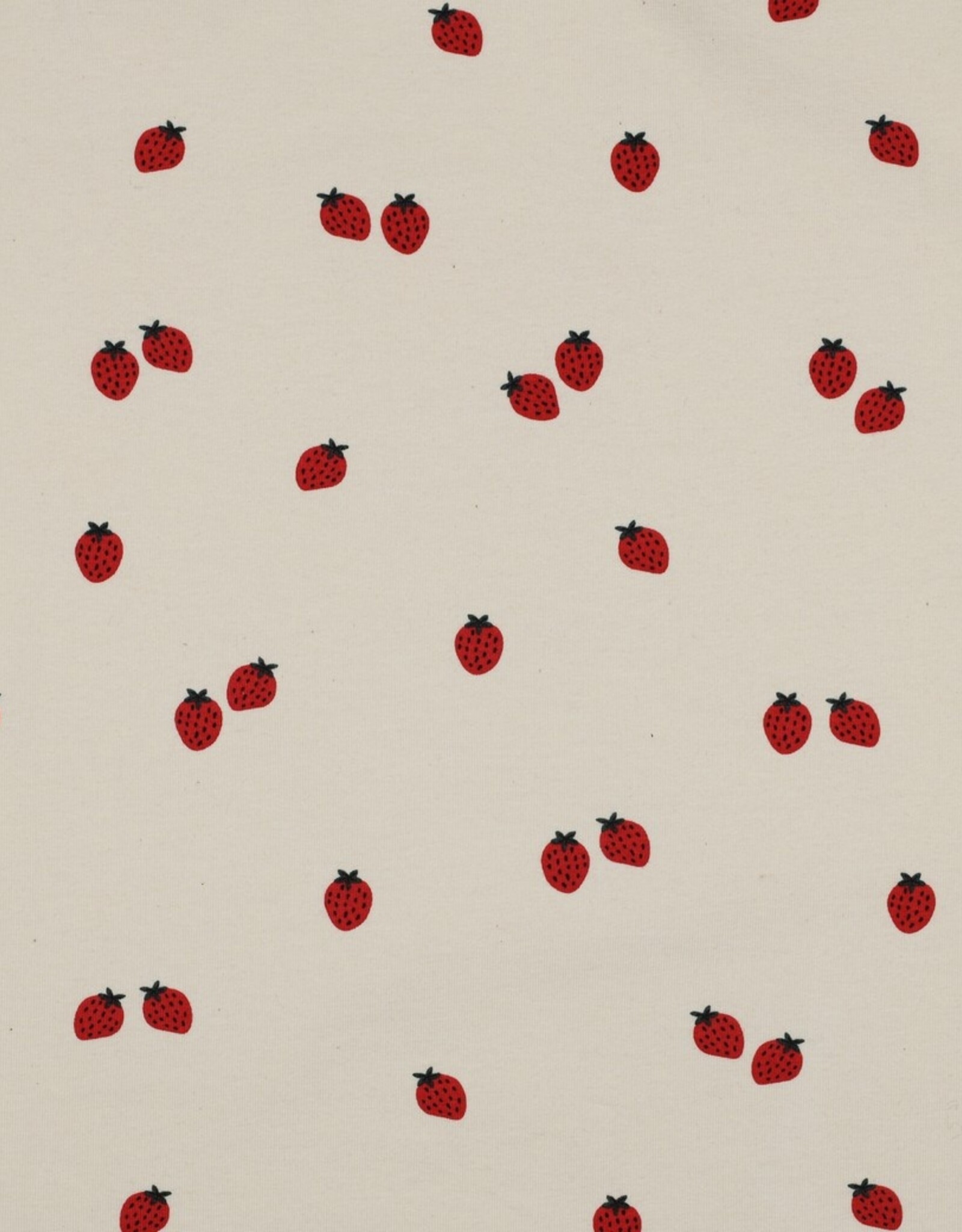 Bio Jersey - Strawberry lover