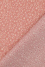 Katoen - Little Aster - Rose