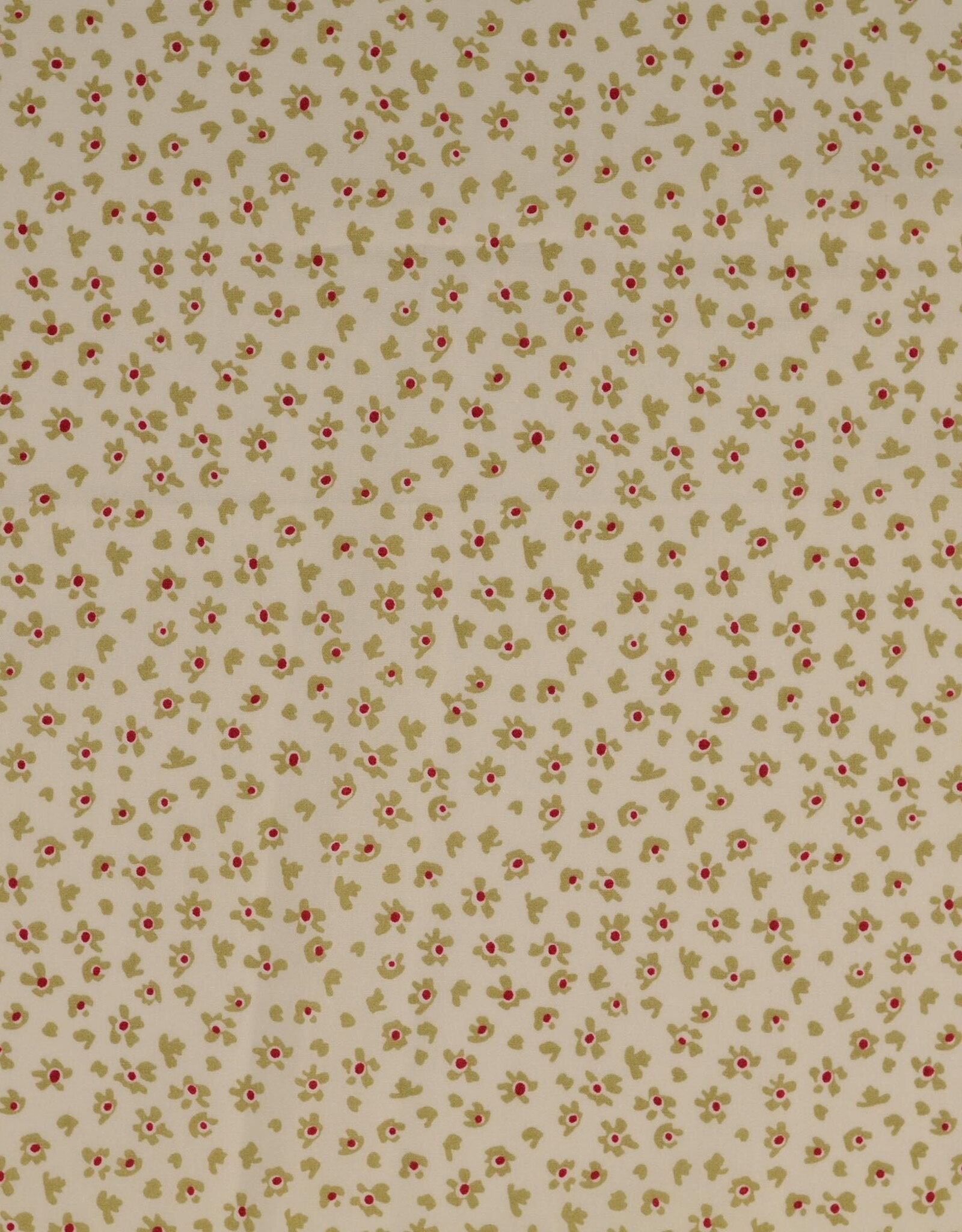 Katoen - Little Aster - Beige