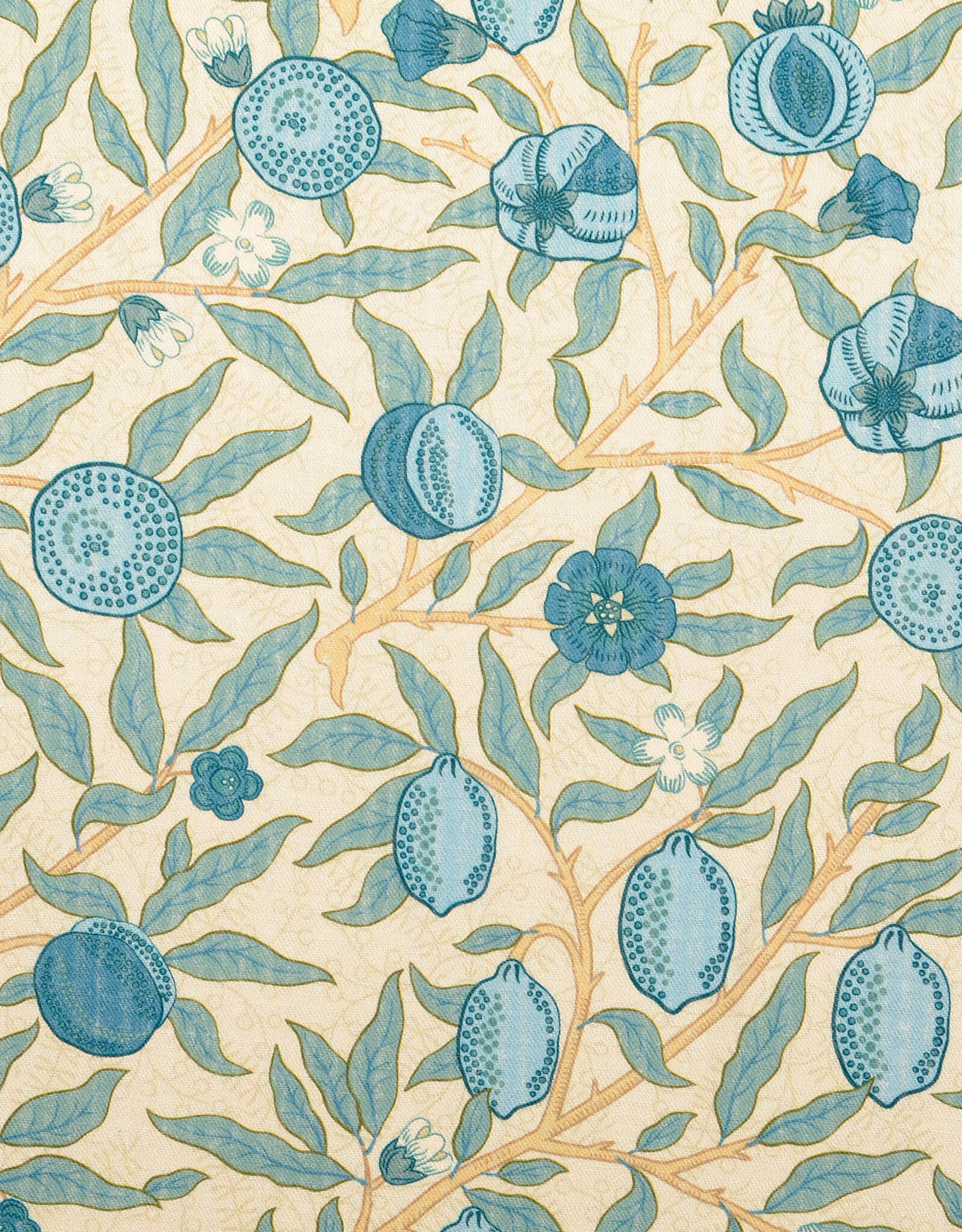 Structure katoen  - Fruits