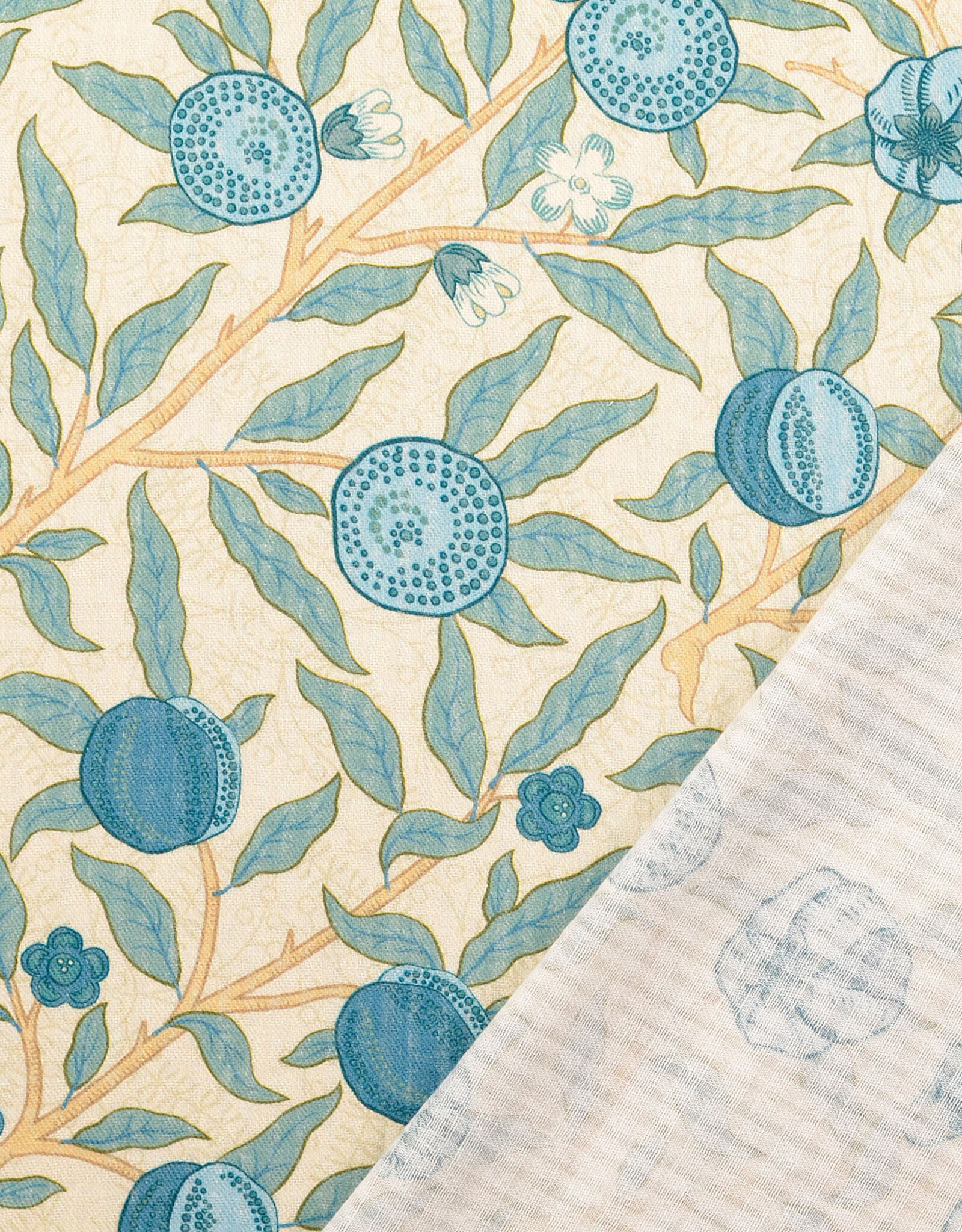 Structure katoen  - Fruits