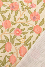 Structure katoen  - Fruits - Peach