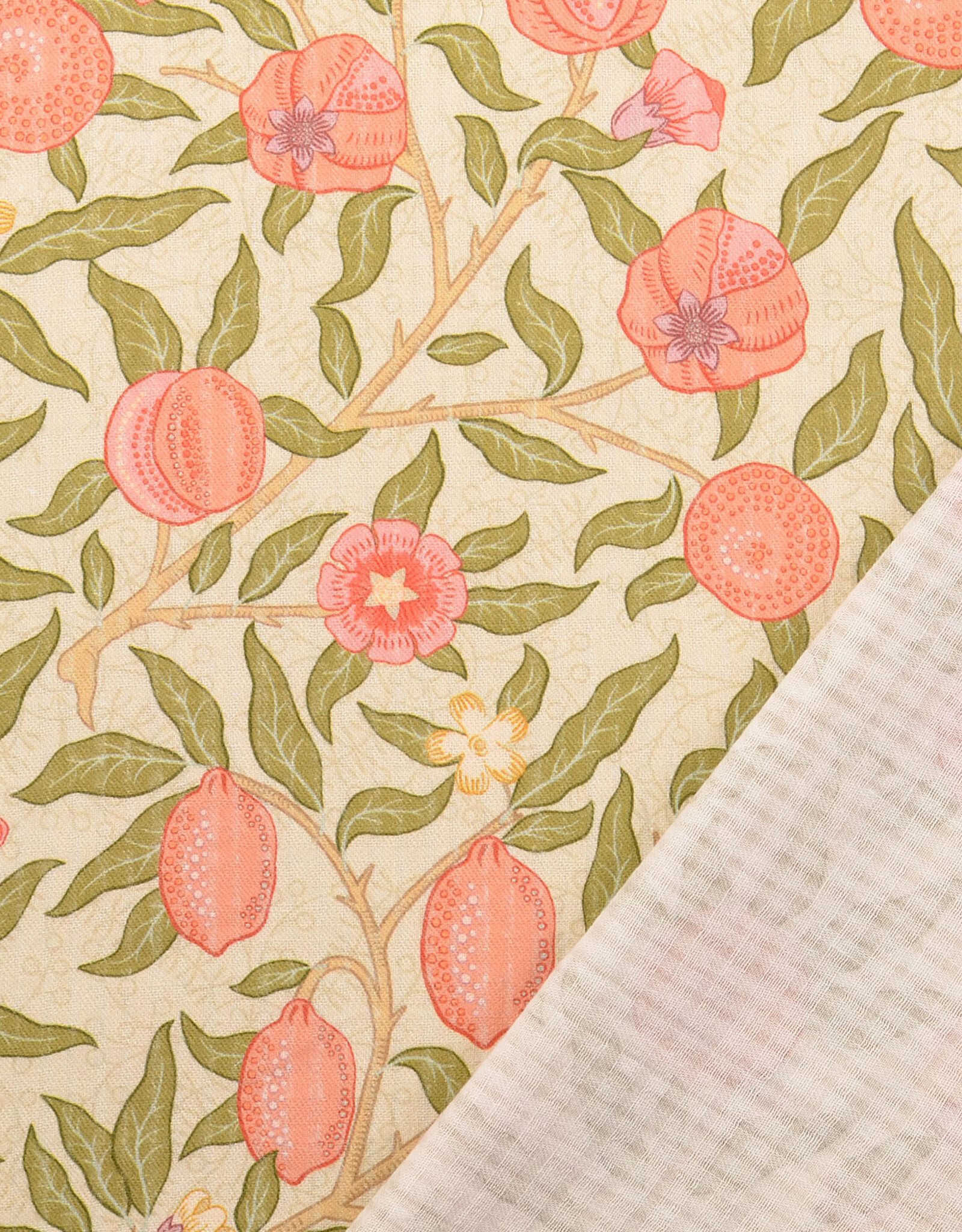 Structure katoen  - Fruits - Peach