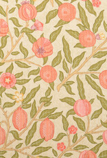 Structure katoen  - Fruits - Peach