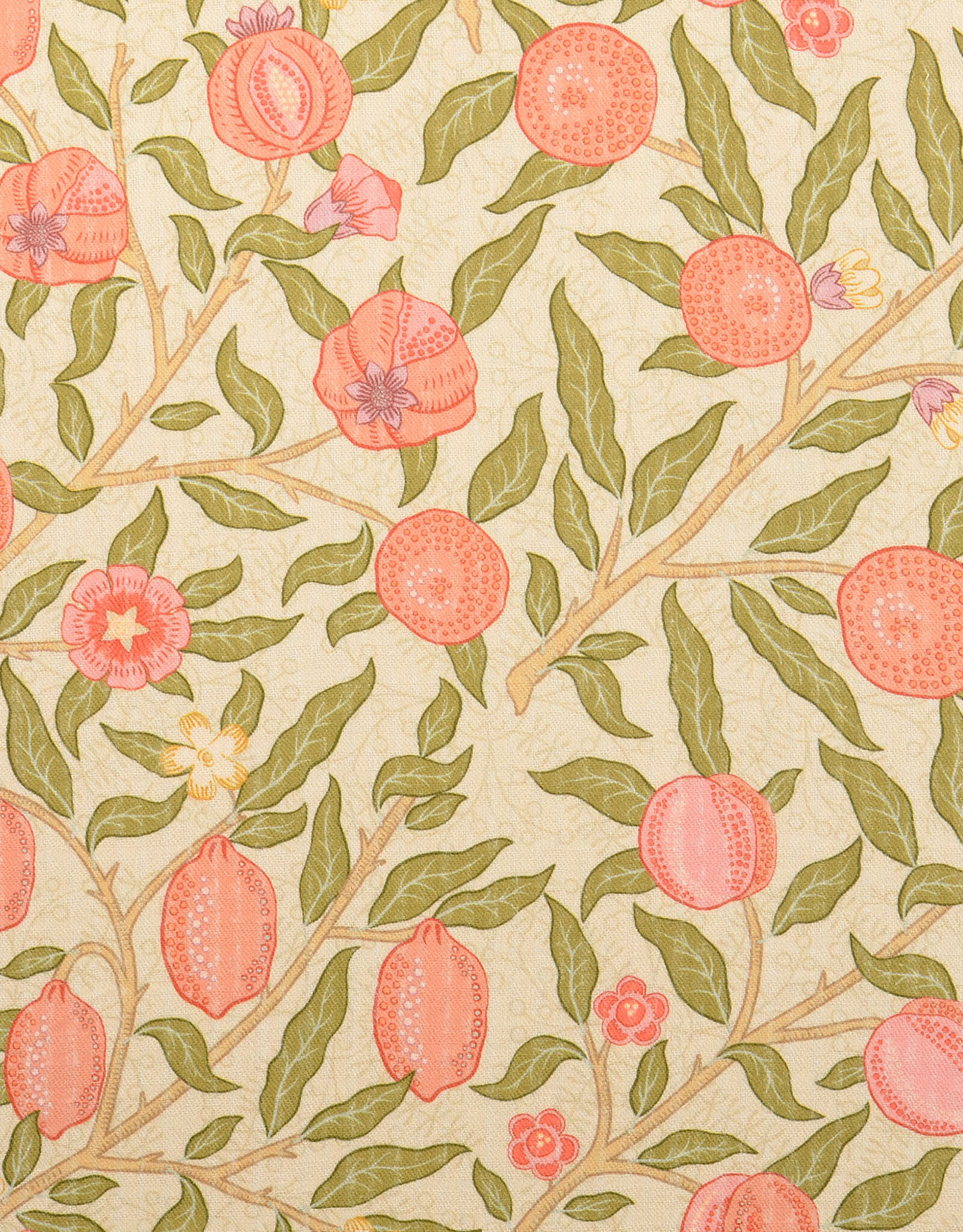 Structure katoen  - Fruits - Peach