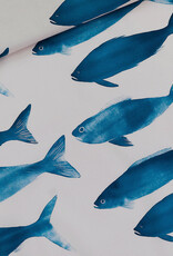 See You at Six Katoen - Phishies