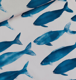 See You at Six Katoen - Phishies