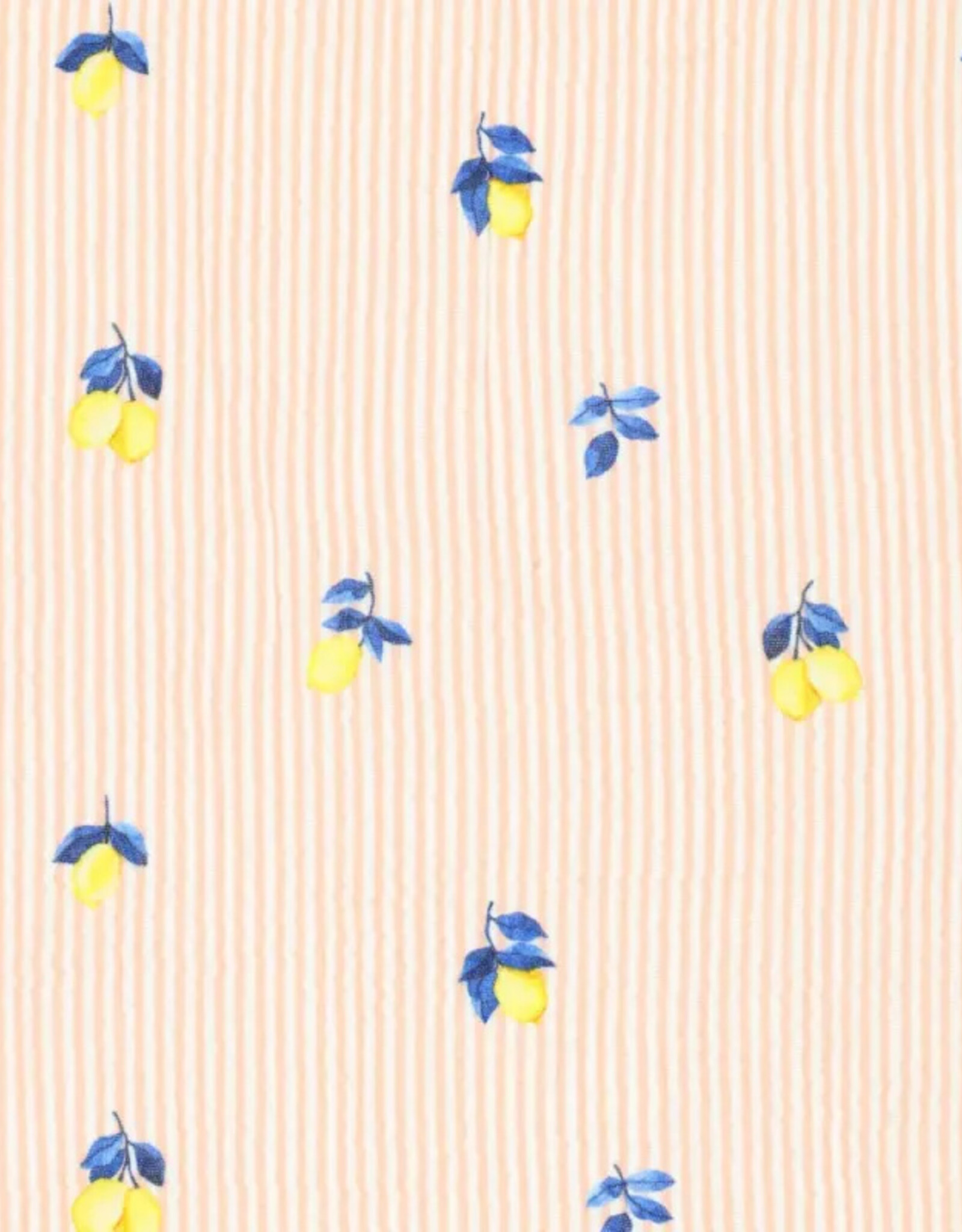 Double Gauze - Lemons & Stripes