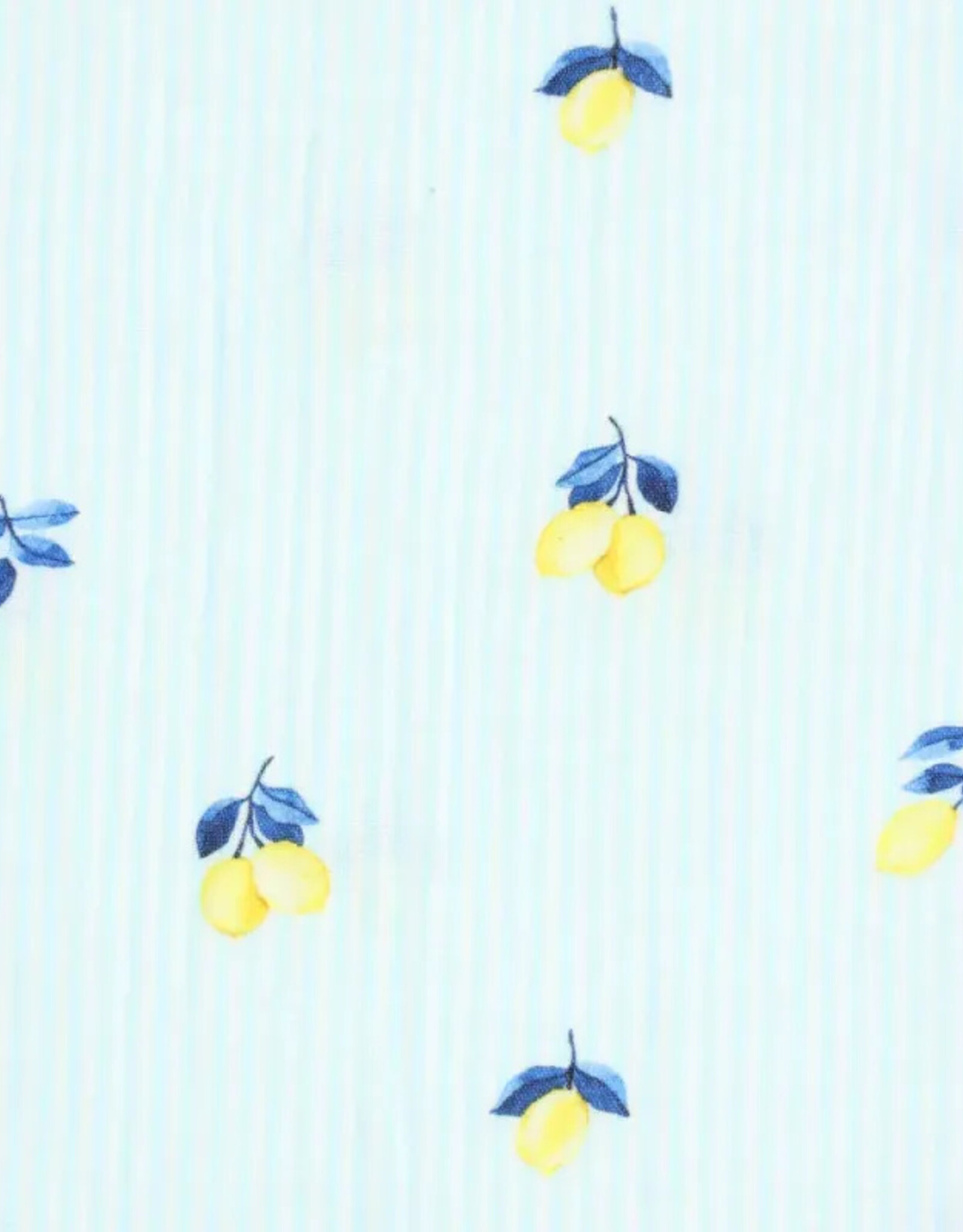 Double Gauze - Lemons & Stripes Blue