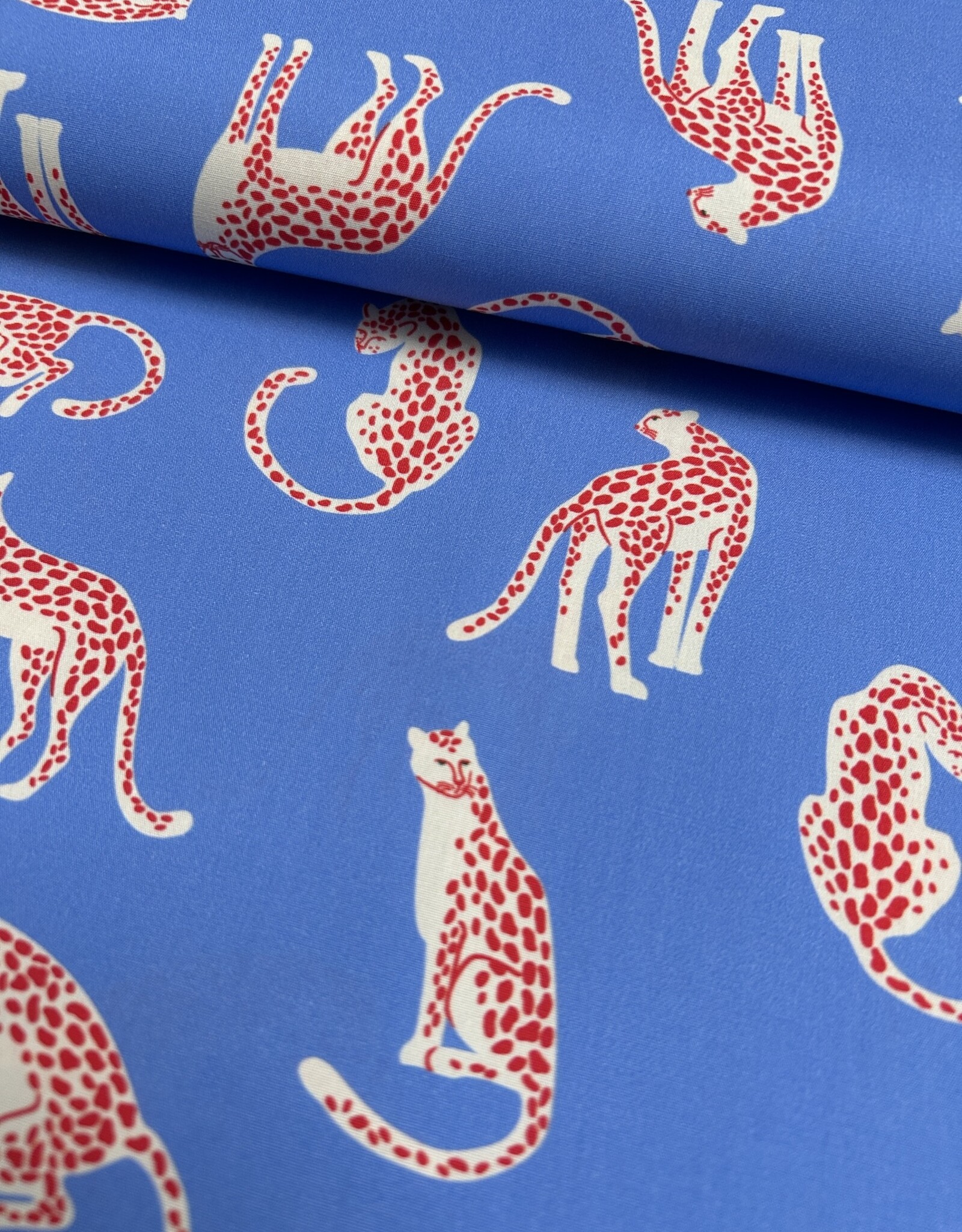 Poplin - Wild Weave - Blue