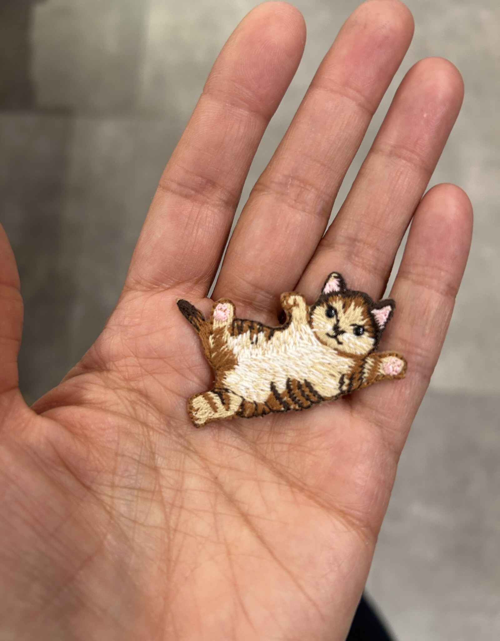 Patch - Spelende kat