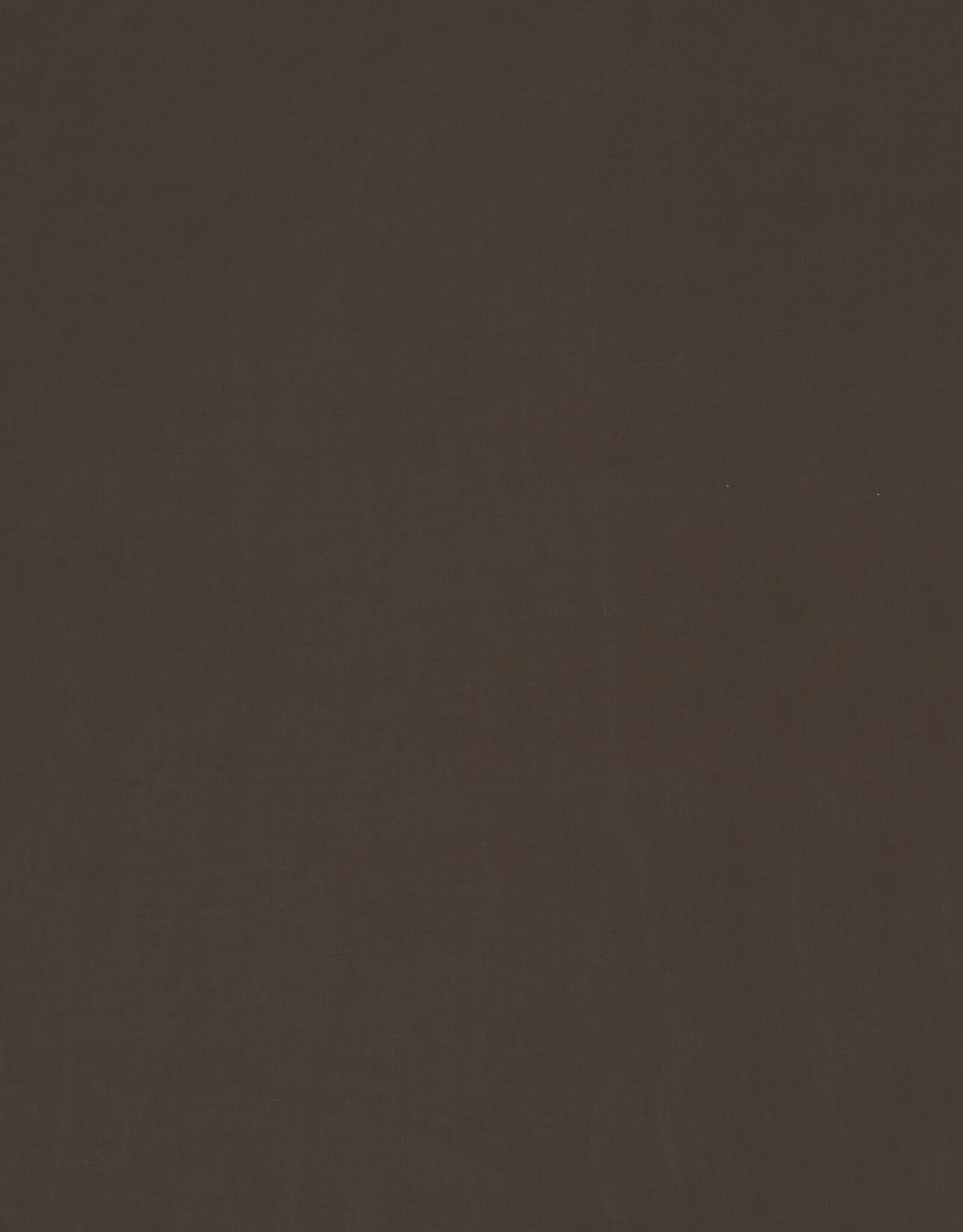 Sandwashed Viscose - Bruin